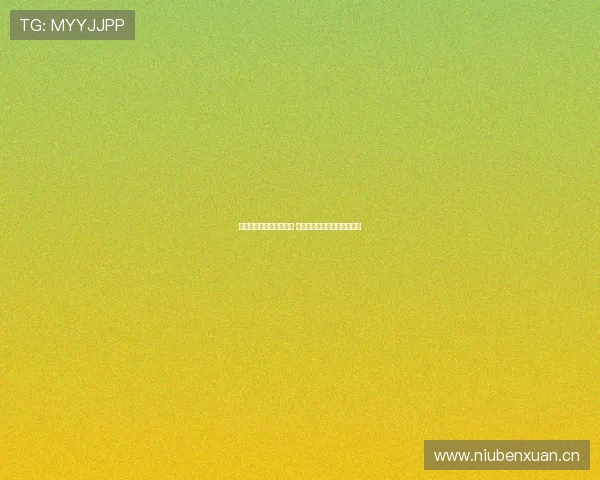 北京风速旗舰店评价如何 服务品质与购物体验全面分析